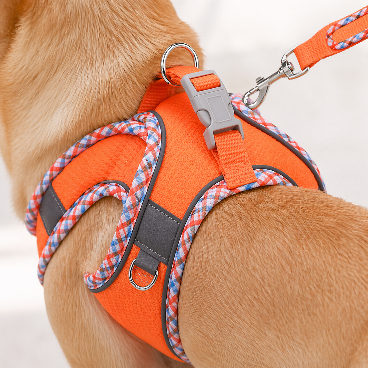 UrbanPaws™ Arnés + Correa Antitirones
