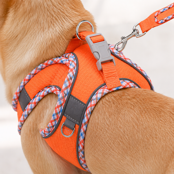 UrbanPaws™ Arnés + Correa Antitirones