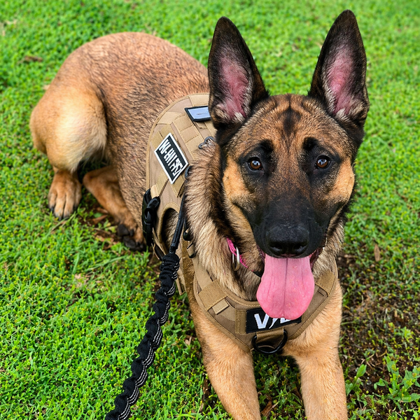 TactiDog™ Arnés Táctico Profesional