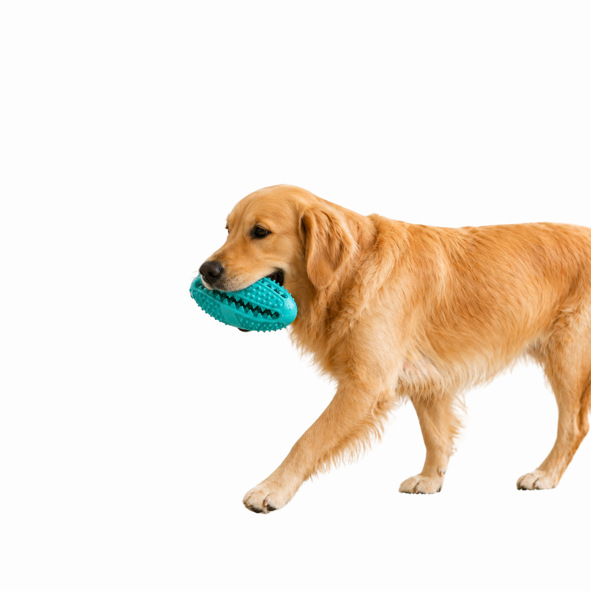 SmartChew™ Pelota Interactiva con Dispensador de Comida